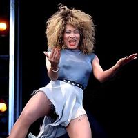tinaturnerfansspain