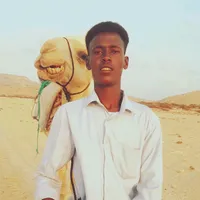 original sound - beexaari