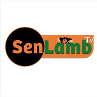 senlambtv44