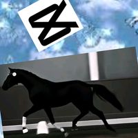 koniaraamy
