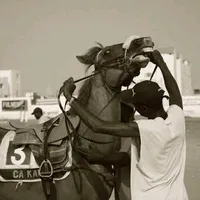 original sound - cheikh.niang1990