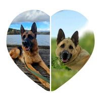 iamron_gsd