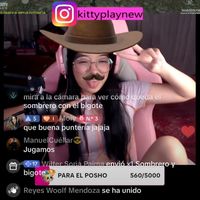 kittyplaynew