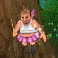 jemmicase