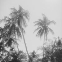 sweetandblue