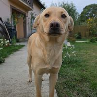adrianpaun05