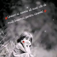 sunet original