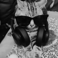 you better follow me before using this audio