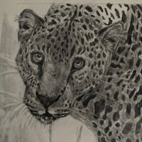 lio._.sketches