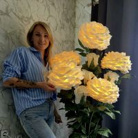 eliinasziedi