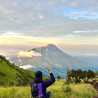 muizw