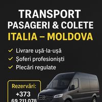igmoldotransport