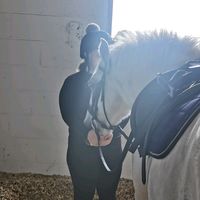 jess_horses0