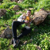 user474660890