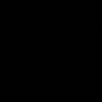 Erjonabiii