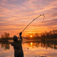 lefycarpfishing