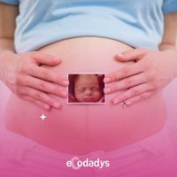 ecodadys_andalucia