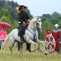 alkuperäinen ääni