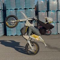 timo.bdm
