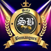 sala.bumangues.vi