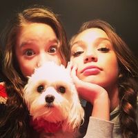 mackz.dm