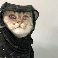 httpswww.facebook.coms2