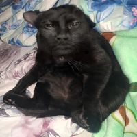 aa.miraaa0