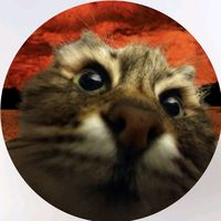 sokrecik