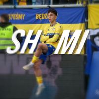 totallyshimi