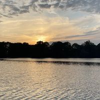 sunet original