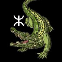 le_crocodile.15