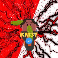 km37.was