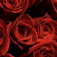original sound - love_you0060