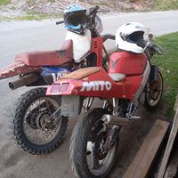 marioobrovac175