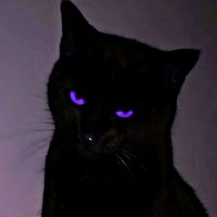 fatality_songs