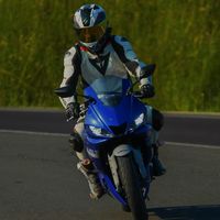 karlik_v