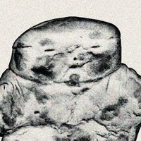 brainkatt