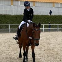 soey.showjumper