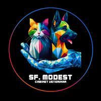 cab.veterinar.sf.modest