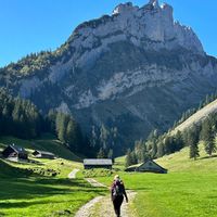tj_wonderfullandscape