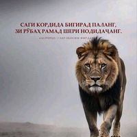 оригинальный звук