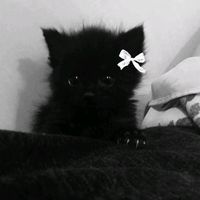nulaaa._7