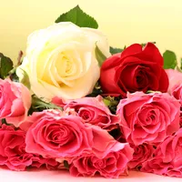 original sound - viata_asa_cum_e