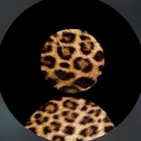 userr11445192013