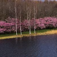 olegfjodorov