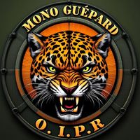 momoguepard
