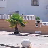 NO ME DEJES ASÍ AyN