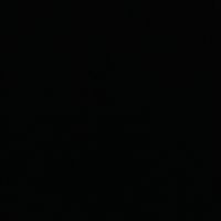 alin_21_8