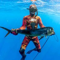 spearfishing21fr