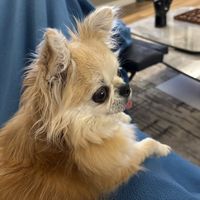 lazylulu76